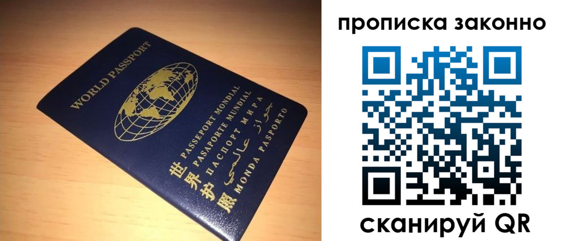 прописка для школы в Коркино